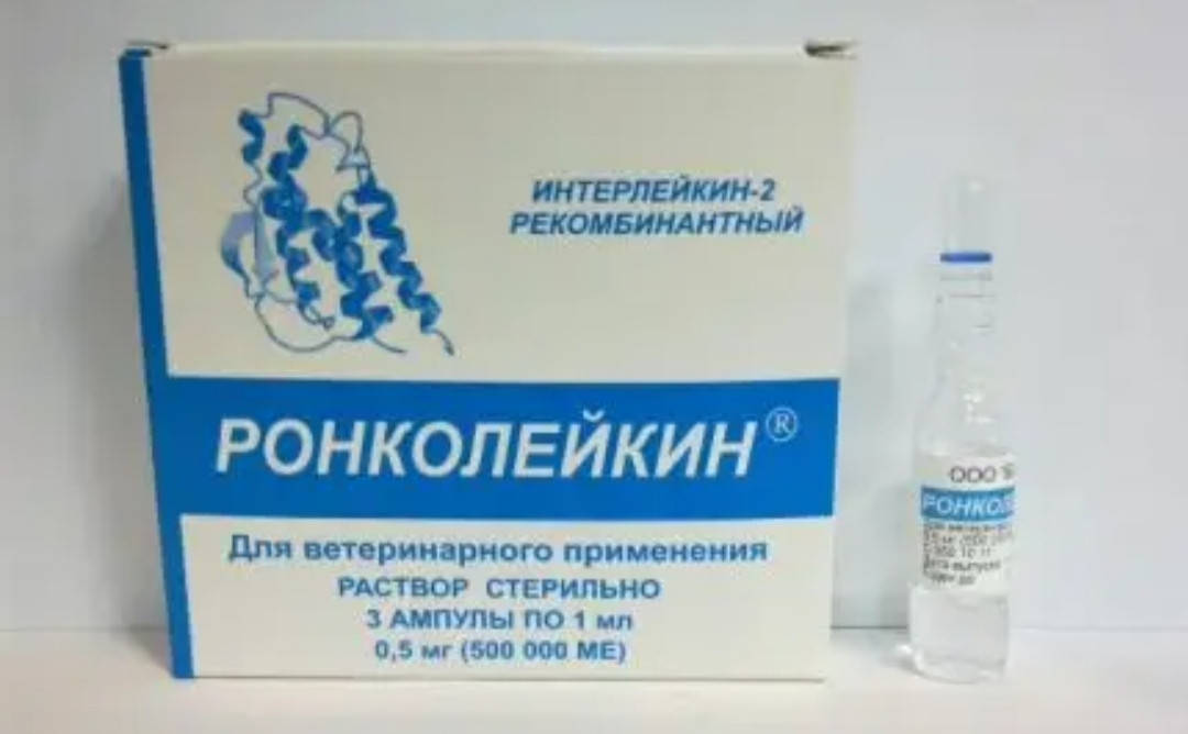 

Ронколейкин 500 тыс ЕД 1 ампула 1 мл