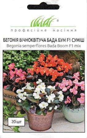 

Бегония Вечноцветущая Бада Бум F1 смесь 20 шт