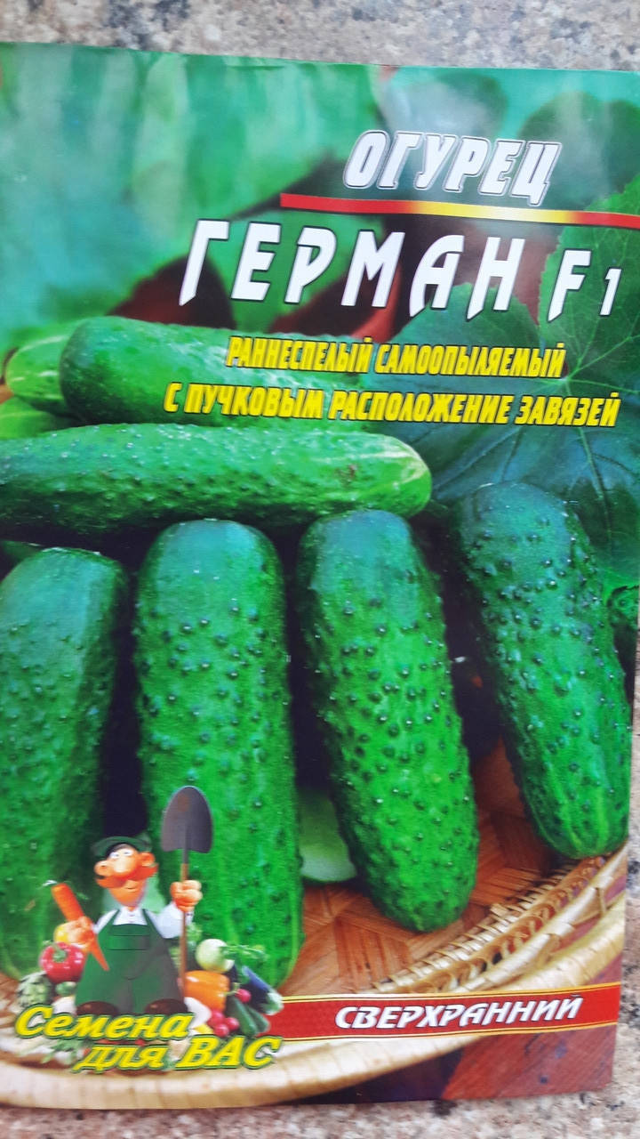 

Огурец Герман F1 40 семян