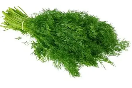 

Кріп (Україна)