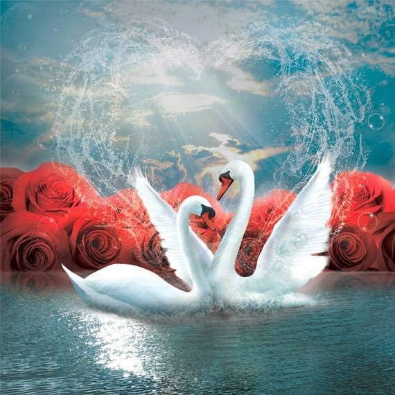 

Фотообои с лебедями Сновидение, 12 листов, 196х210см