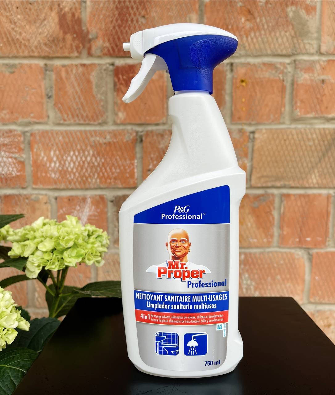 

Спрей Mr. Proper Regular (8001841556543)