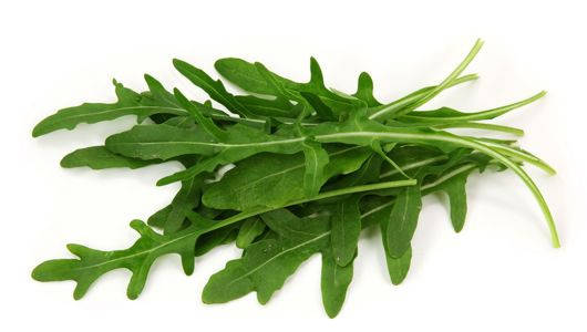 

Руккола