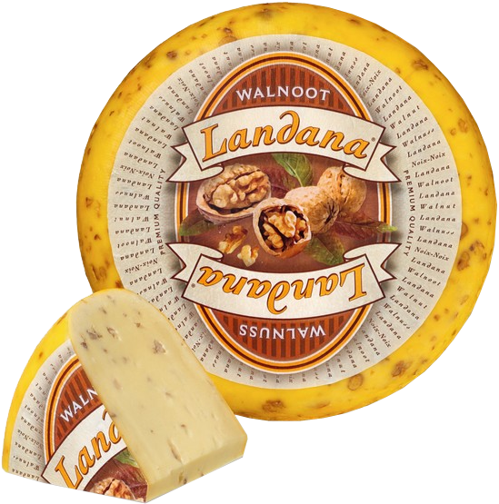 

Голландский сыр с грецким орехом