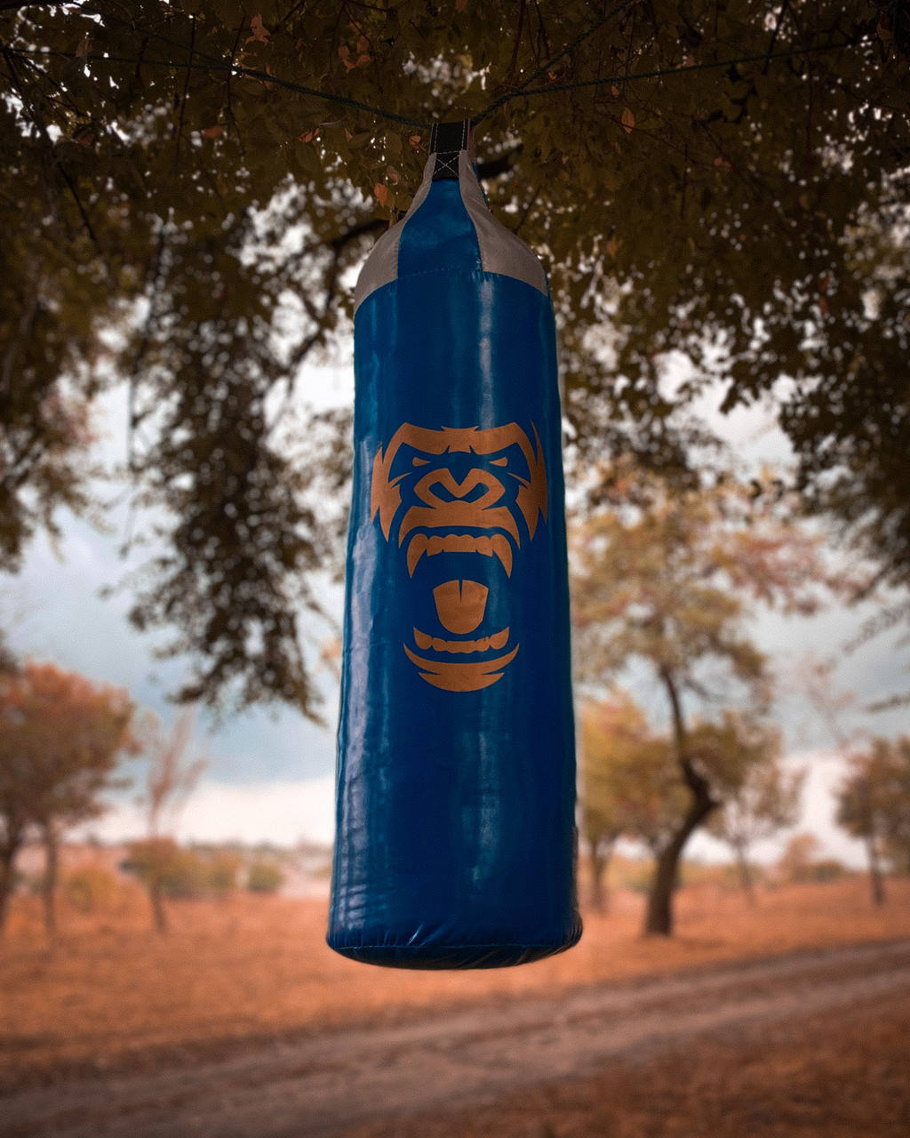 

Боксерский мешок груша BIG MONKEY из ПВХ: 80 см синий