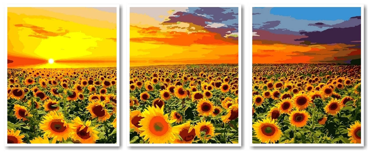 

VPT 041 Поле подсолнухов Роспись по номерам на холсте 50х120см