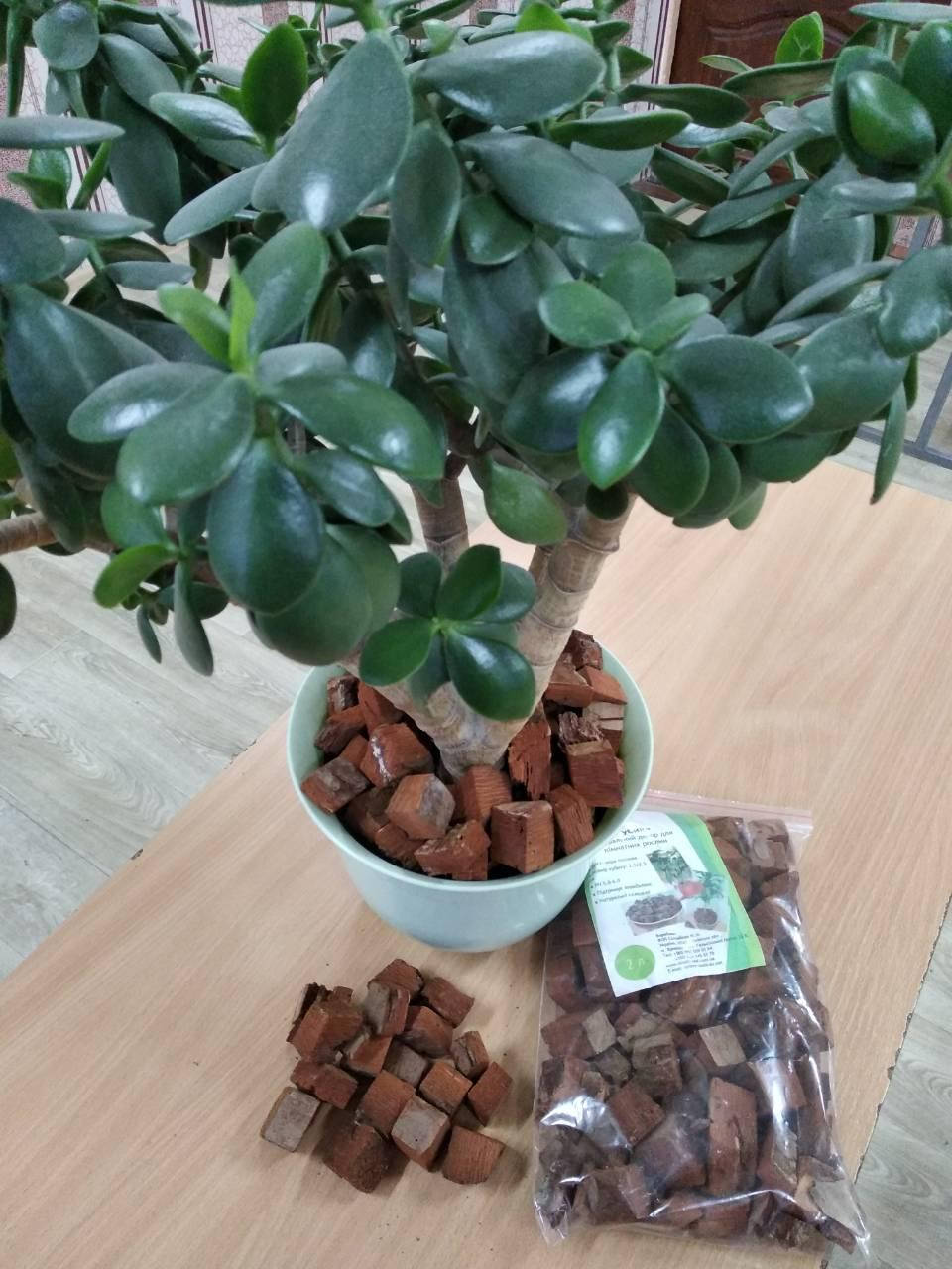 

Кора сосновая "Кубики" для орхидей, для декора, 2 л.