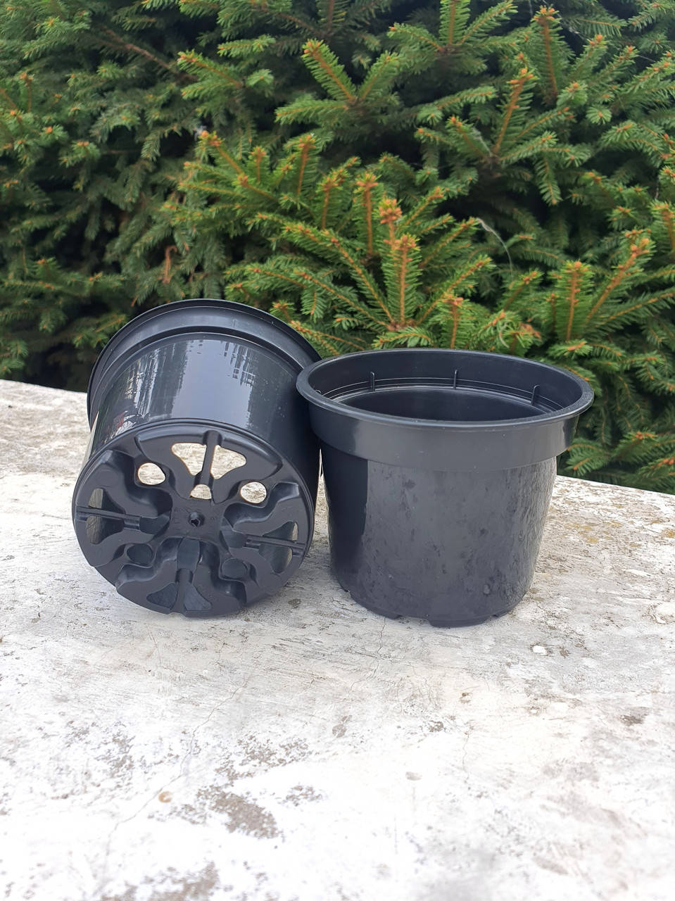 

Горшок для рассады 8,5см 0,22л Floser