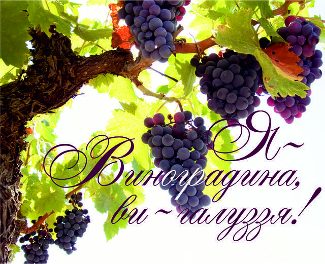 

Міні-листівка: Я - Виноградина, ви - галуззя! # 118