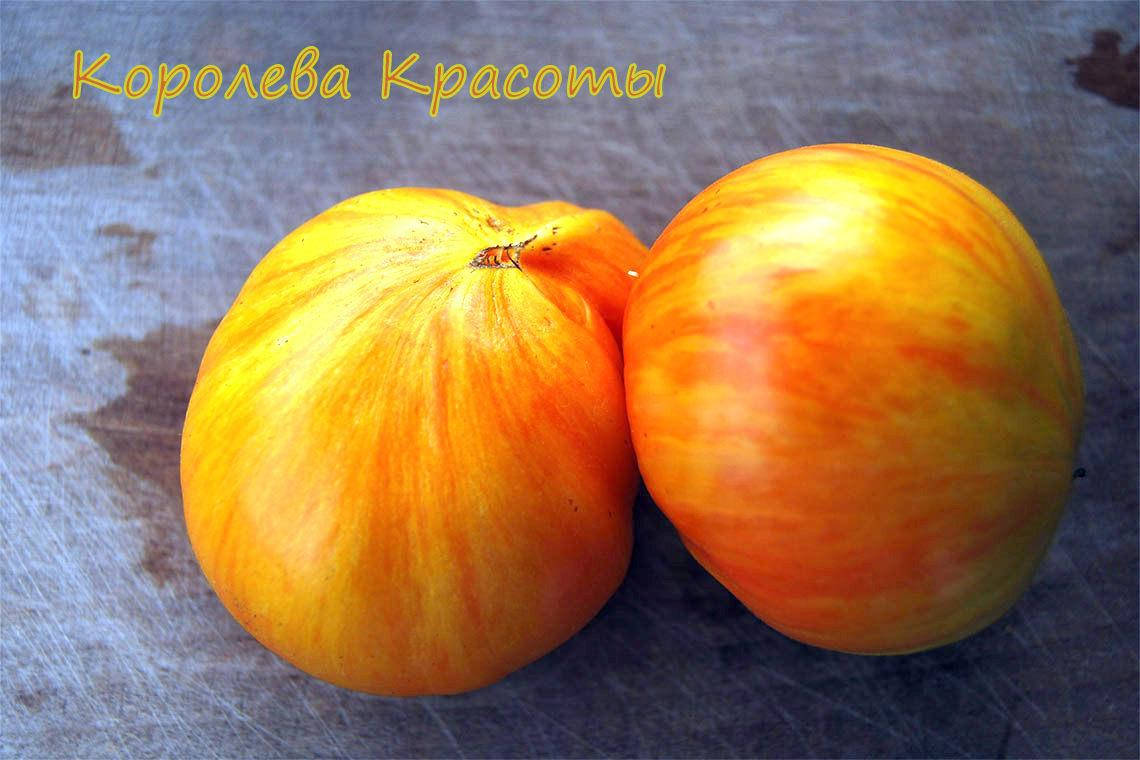 

Томат "Beauty Queen" (королева красоты)