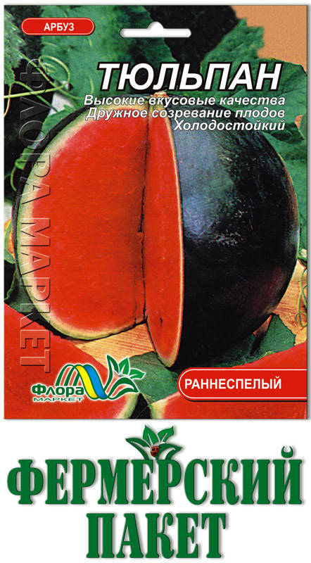 

Арбуз Тюльпан (большой пакет)