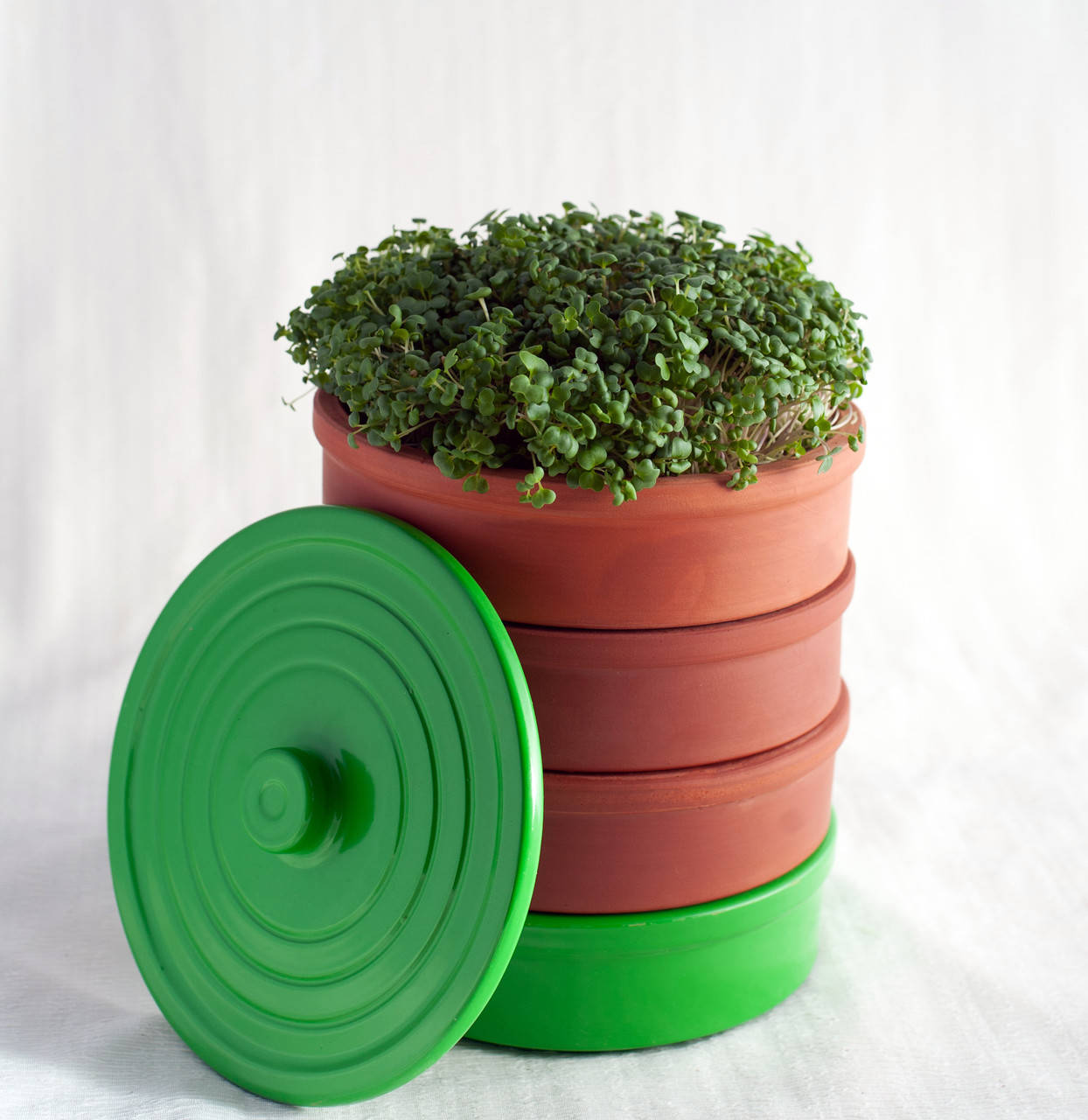 

Проращиватель зерен и микрозелени 3 лотка 17см Спраутер Керамика (глина)