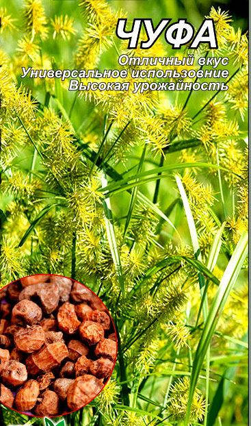 

Флорамаркет. Семена Чуфа (земляной миндаль), 3 г