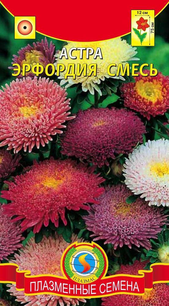 

Астра Астра Эрфордия, суміш 0,3 г суміш (Плазмові насіння)