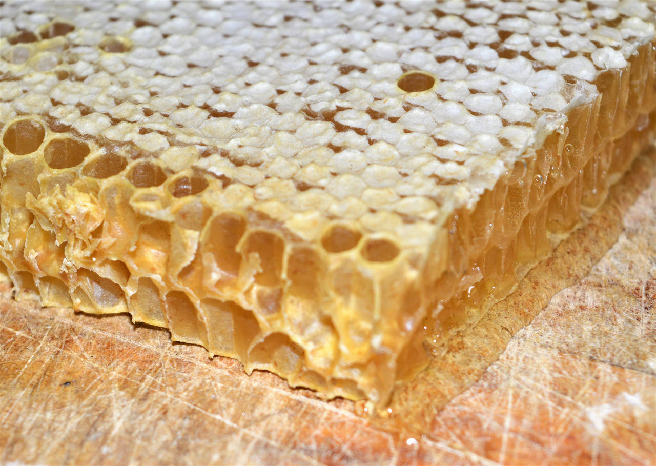 

Мед в сотах Лесное разнотравье , 300 г