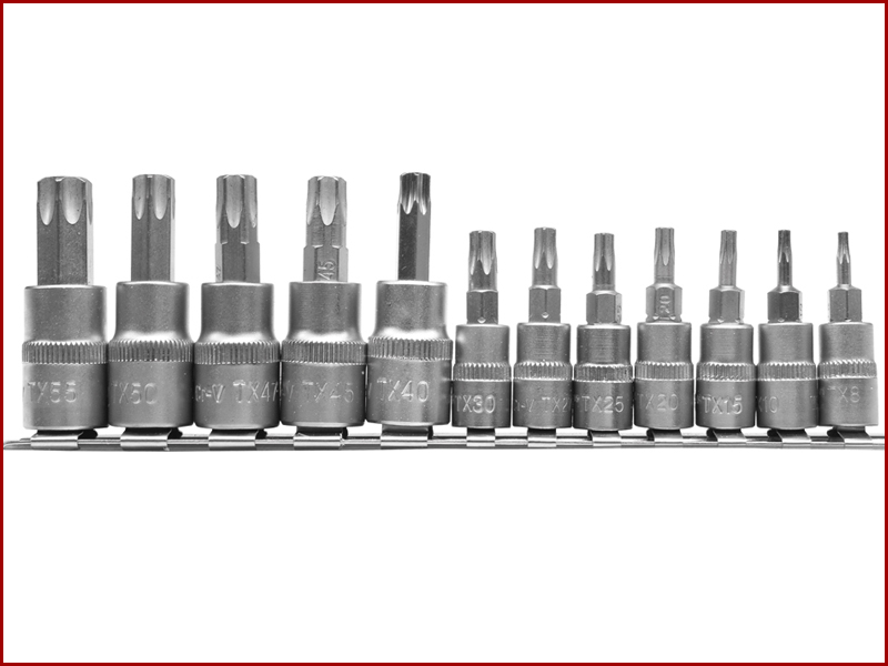 

Набор головок торцевых с битами TORX" Т8-Т30,Т40- Т55, квадрат 1/4, 3/8" 12 шт. YATO YT-04331