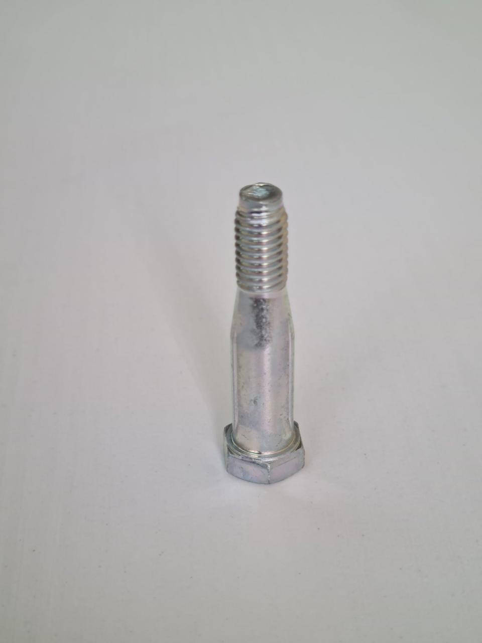 

Палец петли двери (болт навеса двери ) ВАЗ Калина 1117-1119