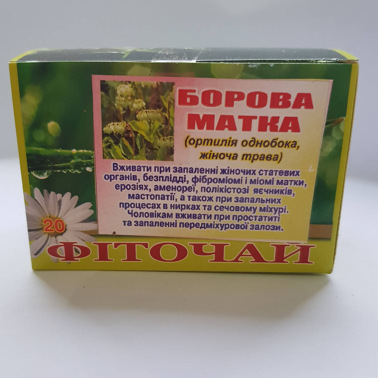 

Боровая матка (ортилія однобока)