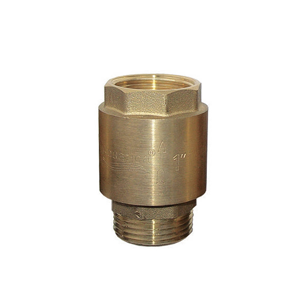 

Клапан обратный 1"M×1"F (латунь) AQUATICA (779645)