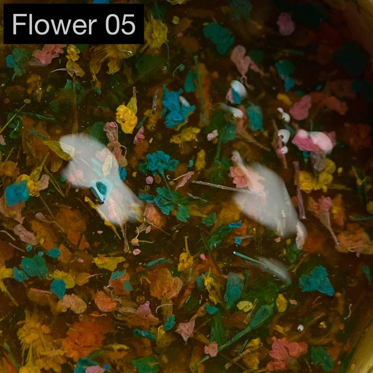 

Гель с сухоцветами №05, Синий