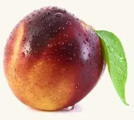 

Нектарин Флейвор Топ ( саджанеци)