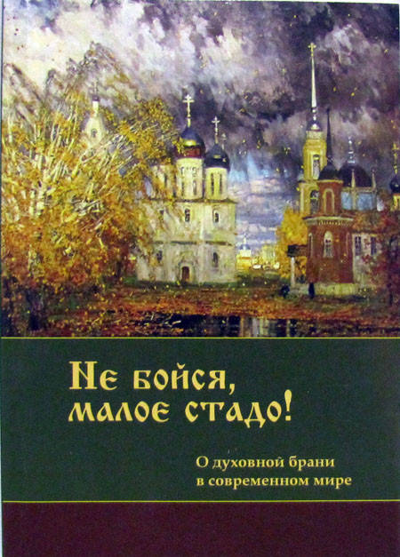 

Не бойся, малое стадо! О духовной брани в современном мире.