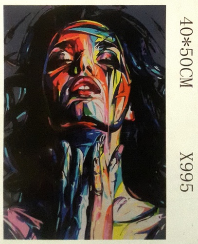 

Картина по номерам 40 х 50 см x995 Лицо в краске