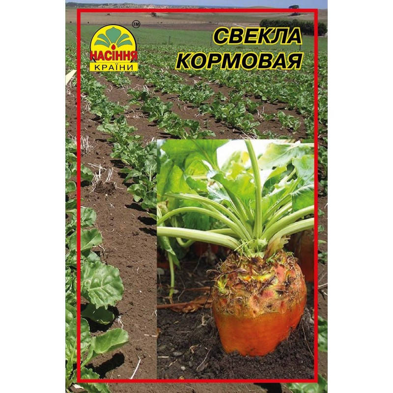 

Семена свеклы кормовой Рекорд поли 20 г (Насіння країни)