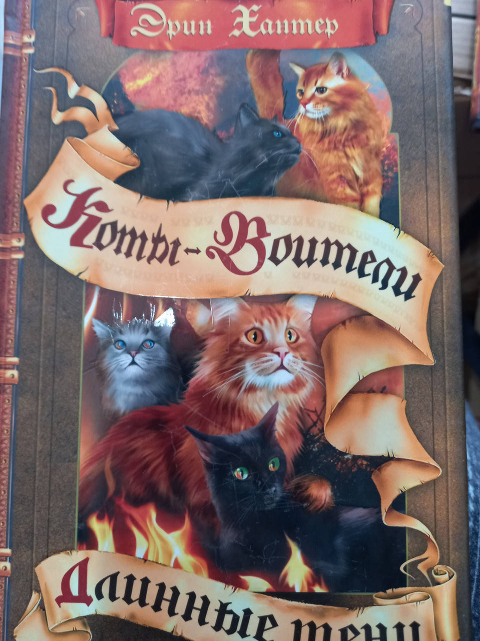 

Ханте "Коти-вояки. Довгі тіні"