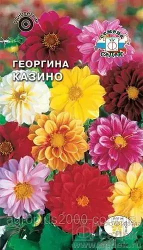 

Семена цветов Георгина Казино смесь 0,2 грамма Седек, Разные цвета