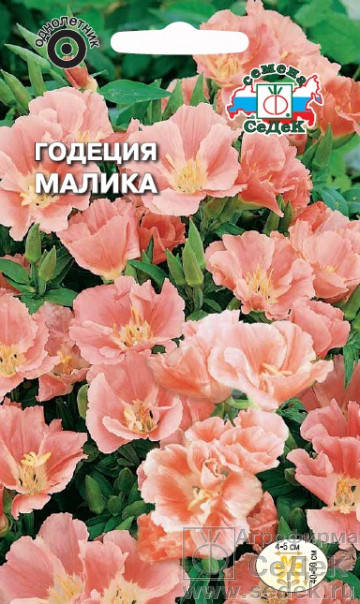 

Семена Годеция Малика 0,1 грамма Седек, Персиковый