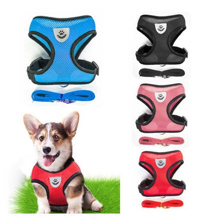 

Сетчатая шлейка с поводком для кошек и маленьких собак Размер S