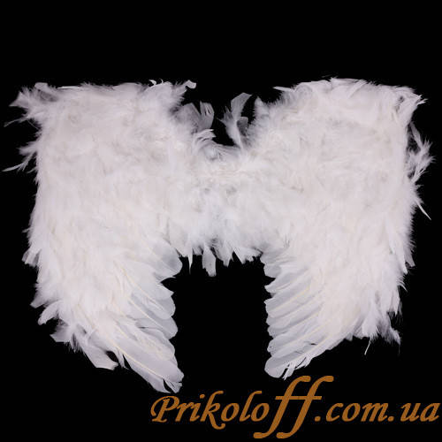 

Крылья ангела, белый пух (50*45 cm)