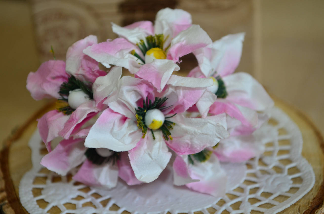 

Букет сон трава (цена за букет из 6 шт). Цвет - белый, нежно сиреневый