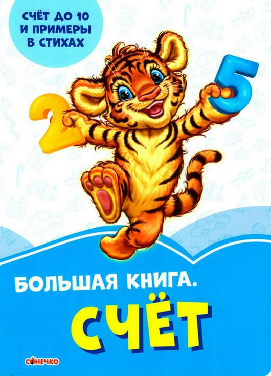 

Васильковые книжки Большая книга СЧЁТ Рос (Ранок)