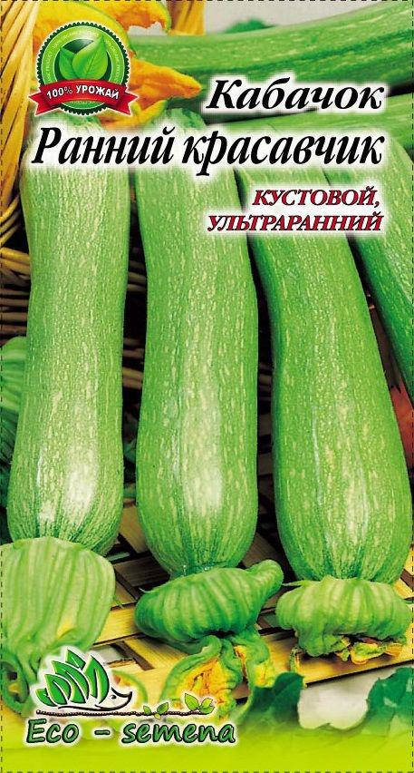 

Eco-semena. Семена Кабачок Ранний красавчик, 3 г