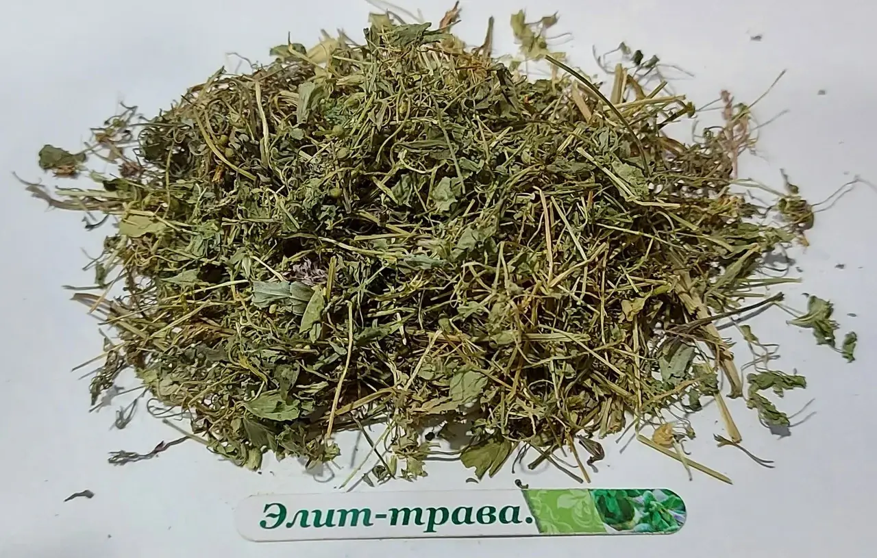 

Рутка лікарська (дымянка) 50 г Прилукский р-н Свежий урожай