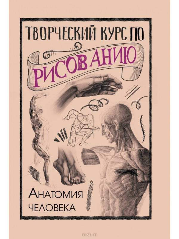

Творческий курс по рисованию. Анатомия человека
