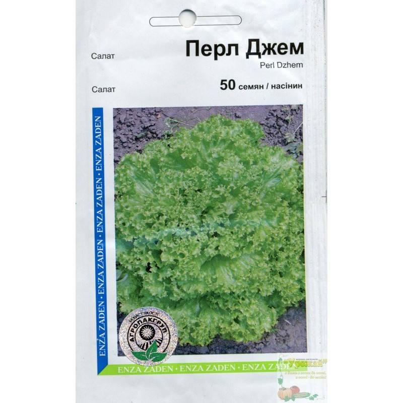 

Семена салат Перл Джем, 50 семян