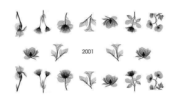 

Наклейка на ногти Слайдер Дизайн 2001 "Цветы", Разные цвета