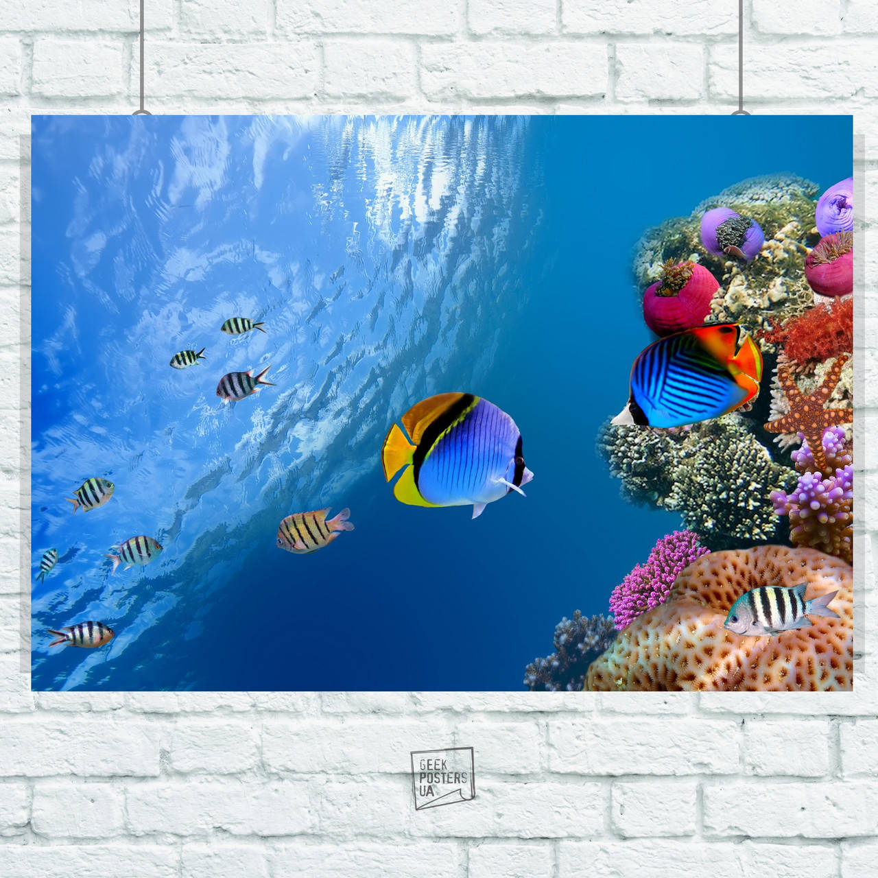 

Постер Подводный мир, рыбы, коралловый риф, природа. Размер 42x30см (A3). Матовая бумага
