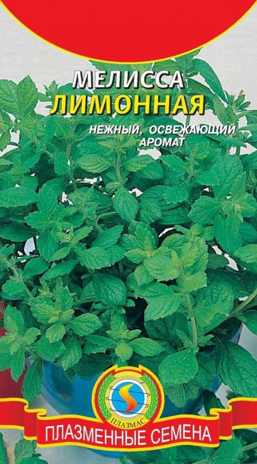 

Мелисса Лимонная (Плазмас)