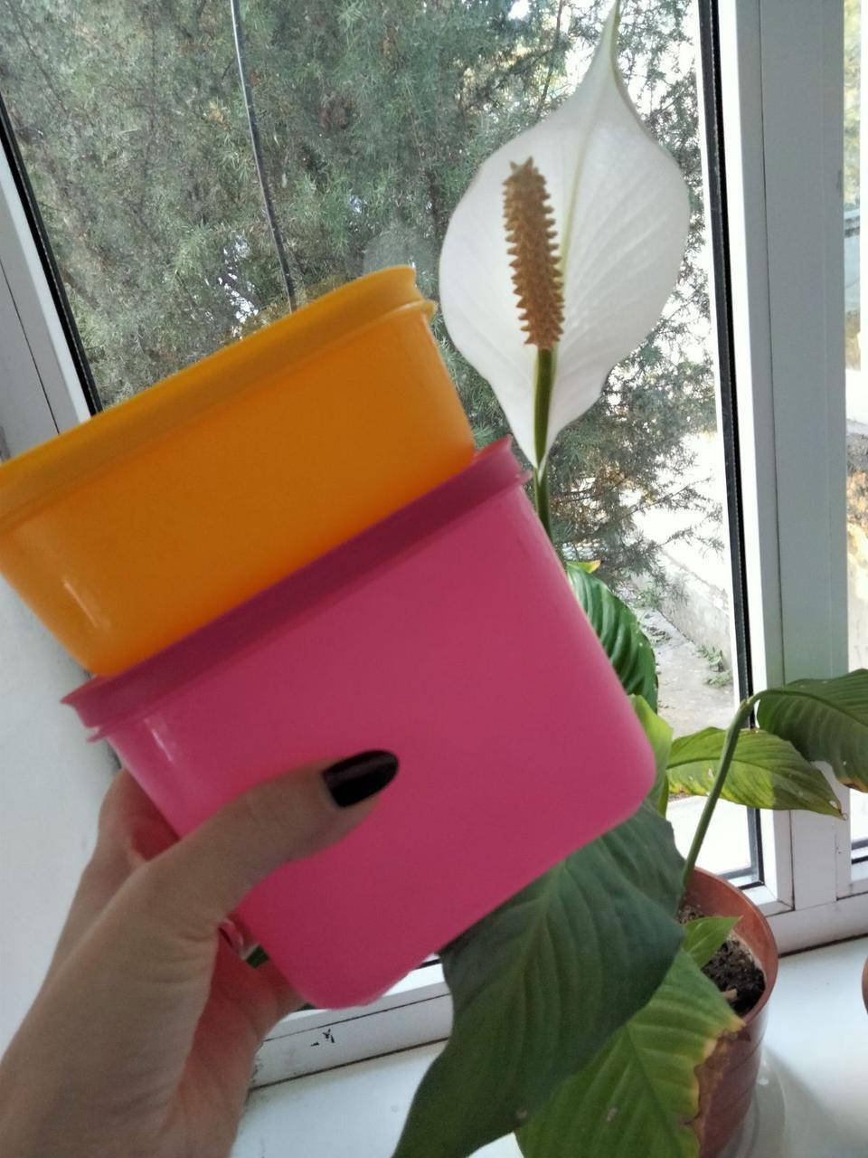 

Набор охлаждающих лотков 450мл/1,1 л Tupperware