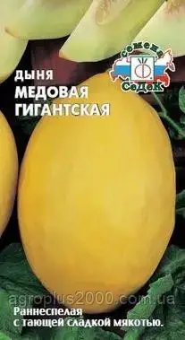 

Семена Дыня Медовая Гигантская 0,5 грамма Седек