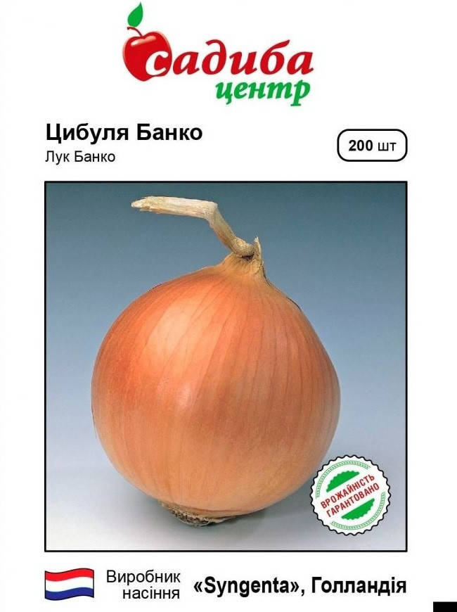 

Банко семена лука салатного 200 шт Syngenta Голландия