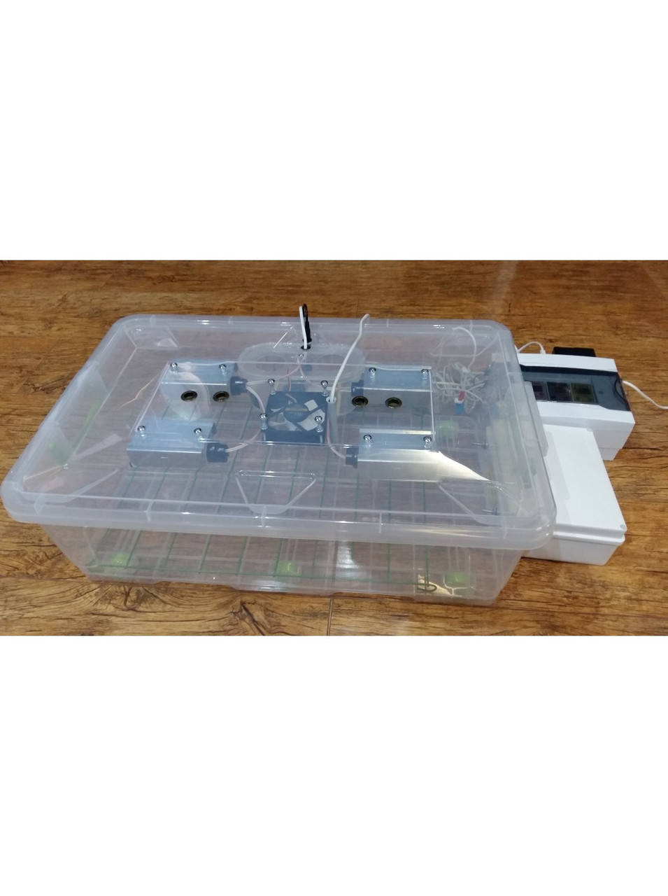 

Инкубатор автоматический "Курочка Ряба ИБ-56" (пластиковый корпус, вентилятор)