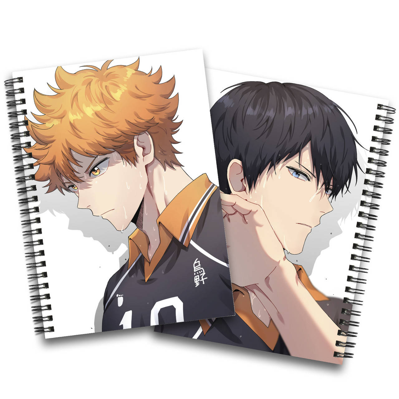 

Блокнот Волейбол!! | Haikyuu!! 08