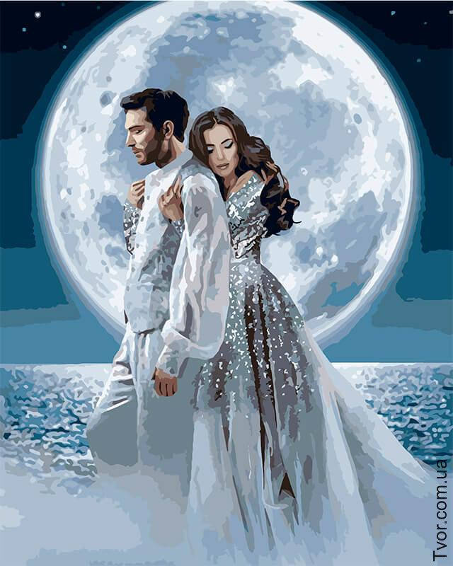 

Картина по номерам Под лунным сиянием