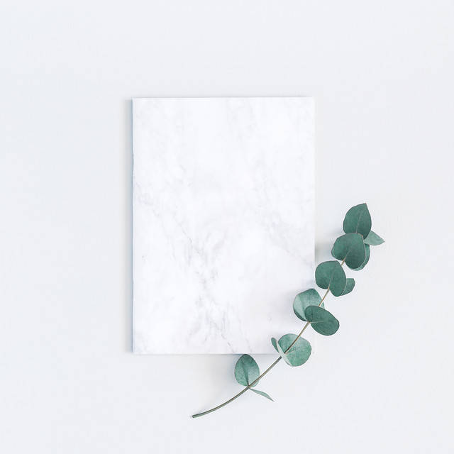 

Виниловый фотофон 100x100см, Frontlit 450 г/м2 №55036