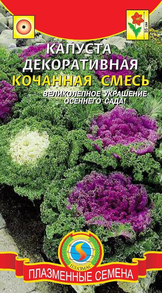 

Капуста декоративная кочанная смесь 15 шт (Плазменные семена)